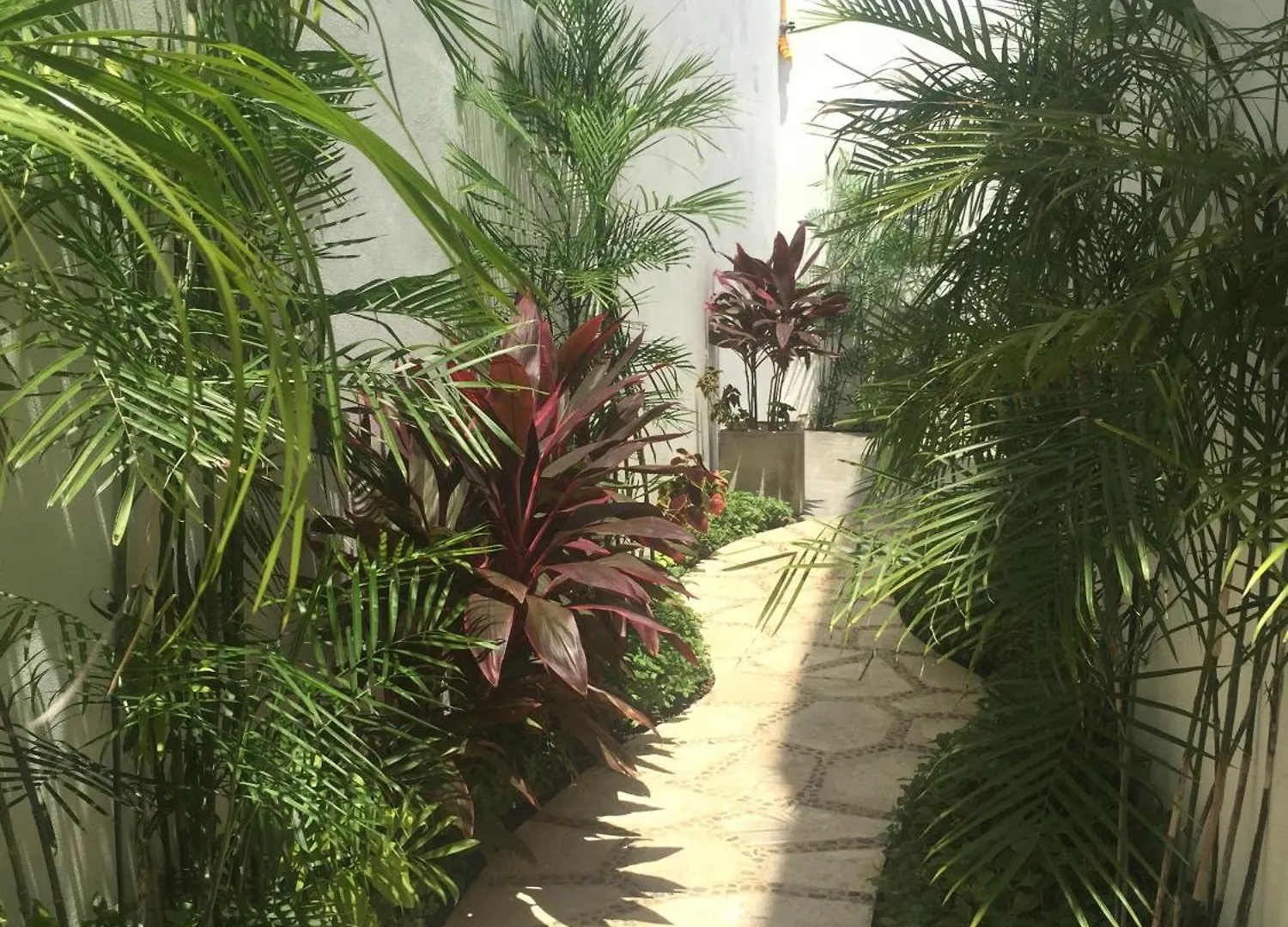 Quinta Santa Anita Hotel Playa del Carmen